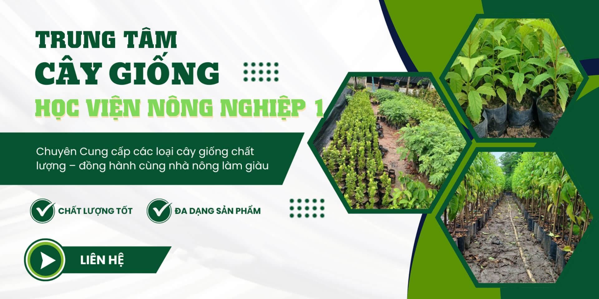 Trung Tâm Giống Cây Trồng