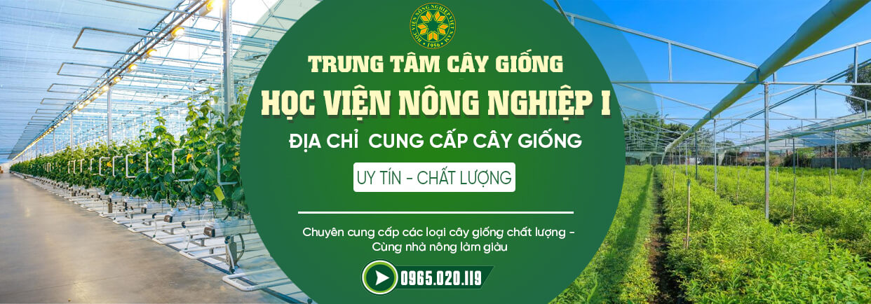 Trung Tâm Giống Cây Trồng